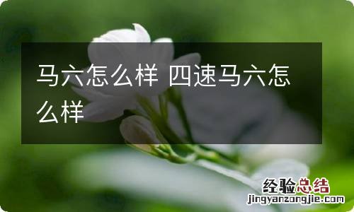 马六怎么样 四速马六怎么样