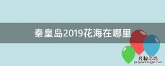 秦皇岛2019花海在哪里