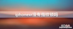 iPhonexr没有指纹锁吗