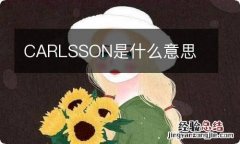 CARLSSON是什么意思