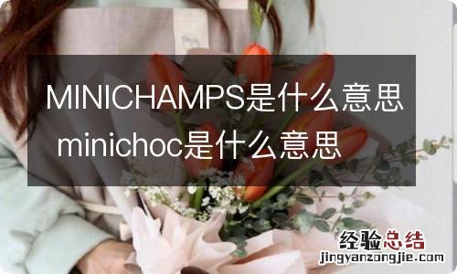 MINICHAMPS是什么意思 minichoc是什么意思