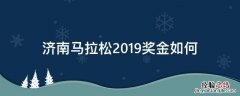 济南马拉松2019奖金如何