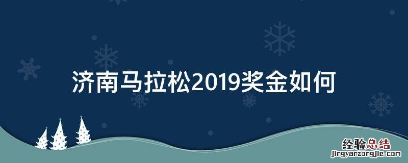 济南马拉松2019奖金如何