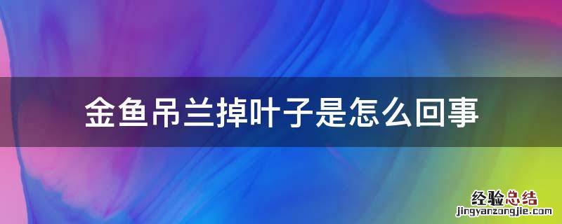 金鱼吊兰掉叶子是怎么回事