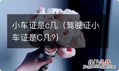 驾驶证小车证是C几? 小车证是c几