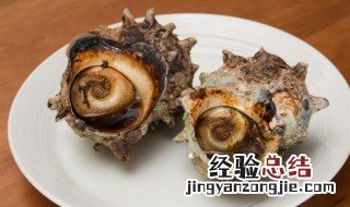 海螺肉哪里不能吃 海螺肉哪里不能吃图解