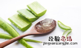 芦荟胶和水乳的顺序 芦荟胶和水乳一起用有什么效果