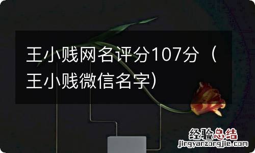 王小贱微信名字 王小贱网名评分107分