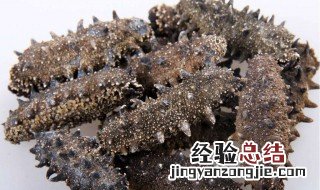 如何辨别海参的好坏 海参如何辨别好坏