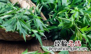 做青团艾草怎么处理 怎么处理做青团的艾草