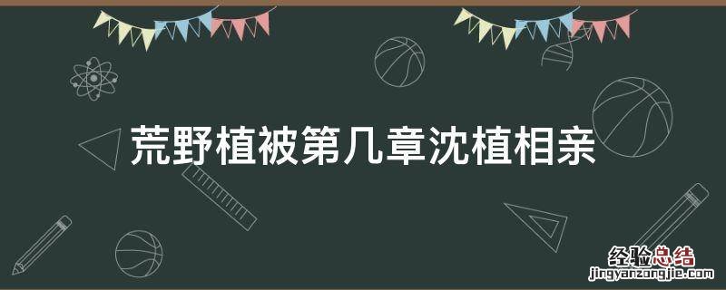 荒野植被第几章沈植相亲
