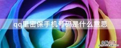 qq里密保手机号码是什么意思