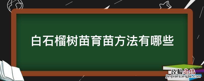 白石榴树苗育苗方法有哪些