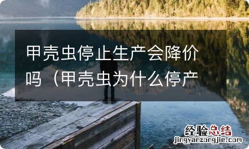 甲壳虫为什么停产也不降价 甲壳虫停止生产会降价吗