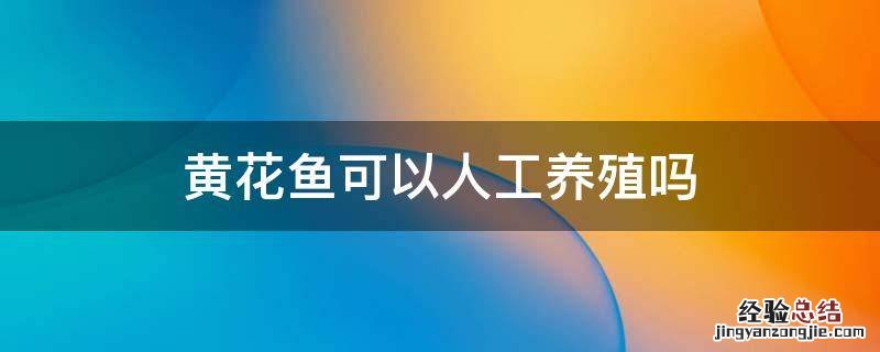 黄花鱼可以人工养殖吗