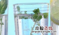 矿泉水和纯净水一样吗知乎 矿泉水和纯净水一样吗?