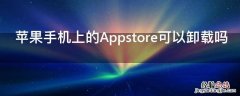 苹果手机上的Appstore可以卸载吗