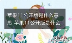 苹果11公开版是什么意思 苹果11公开版是什么