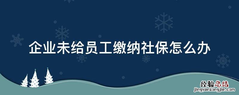 企业未给员工缴纳社保怎么办