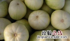 广州甜瓜的种植方法 广州甜瓜的种植方法和管理