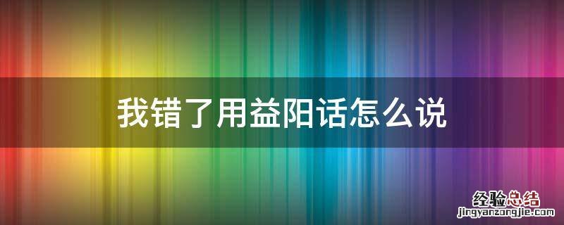 我错了用益阳话怎么说