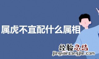 属虎不宜配什么属相 属虎和这两个属相不合