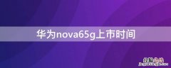 华为nova65g上市时间