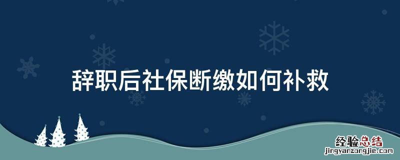 辞职后社保断缴如何补救