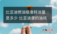 比亚迪燃油版唐耗油量是多少 比亚迪唐的油耗是多少