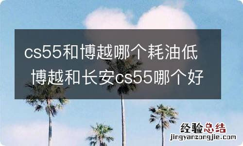 cs55和博越哪个耗油低 博越和长安cs55哪个好哪个油耗高