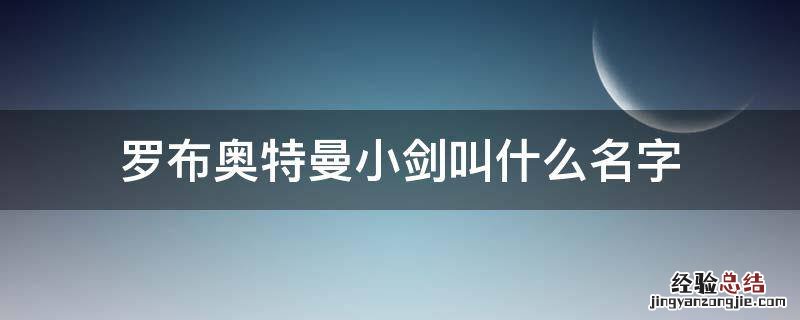 罗布奥特曼小剑叫什么名字