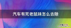 汽车有死老鼠味怎么去除