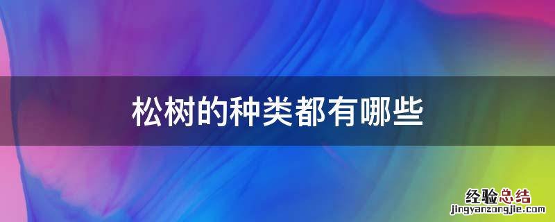 松树的种类都有哪些