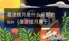 星途揽月属于 星途揽月是什么级别的suv