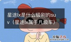 星途lx属于几级车 星途lx是什么级别的suv