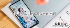 努比亚z20怎么添加时间水印