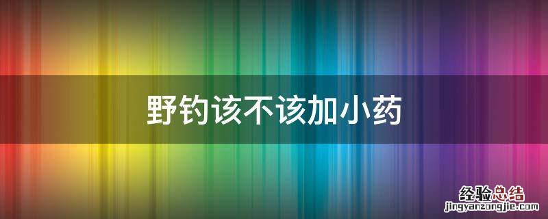 野钓该不该加小药