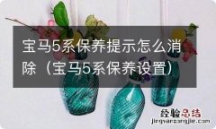 宝马5系保养设置 宝马5系保养提示怎么消除