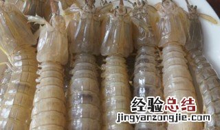 活皮皮虾可以直接冷冻吗 活皮皮虾可不可以直接冷冻