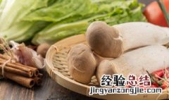 杏鲍菇和鸡腿菇的区别 杏鲍菇的10种吃法