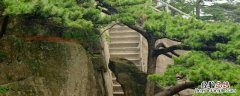 黄山雨夹雪开放吗