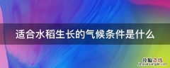 适合水稻生长的气候条件是什么