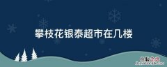 攀枝花银泰超市在几楼