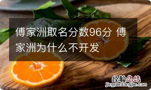 傅家洲取名分数96分 傅家洲为什么不开发