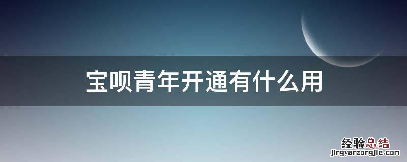 宝呗青年开通有什么用