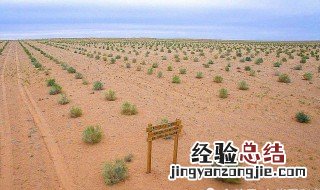 怎么申请种植真树种子 怎么申请种植真树