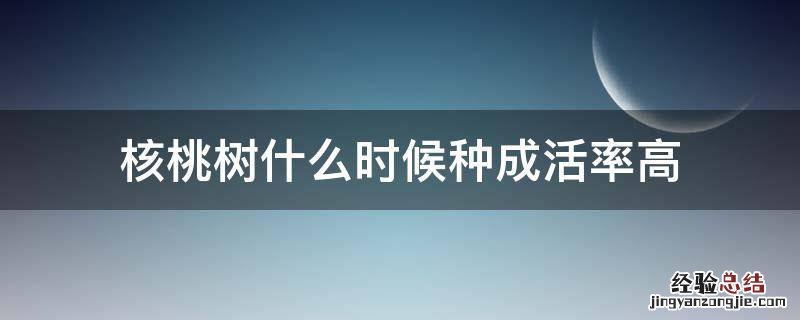 核桃树什么时候种成活率高