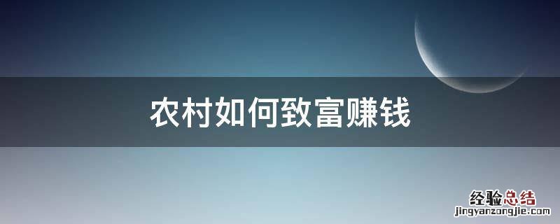 农村如何致富赚钱