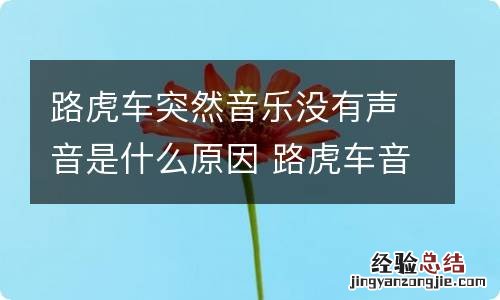 路虎车突然音乐没有声音是什么原因 路虎车音乐没声音怎么回事