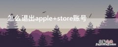 怎么退出apple store账号